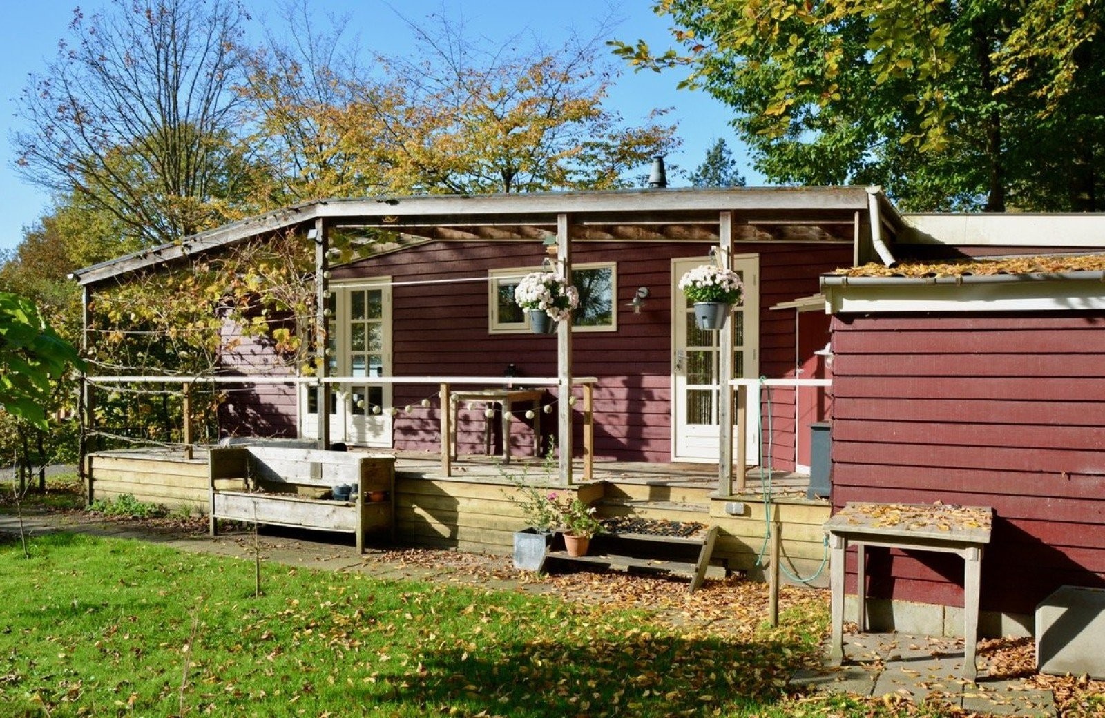 Dsc 0017