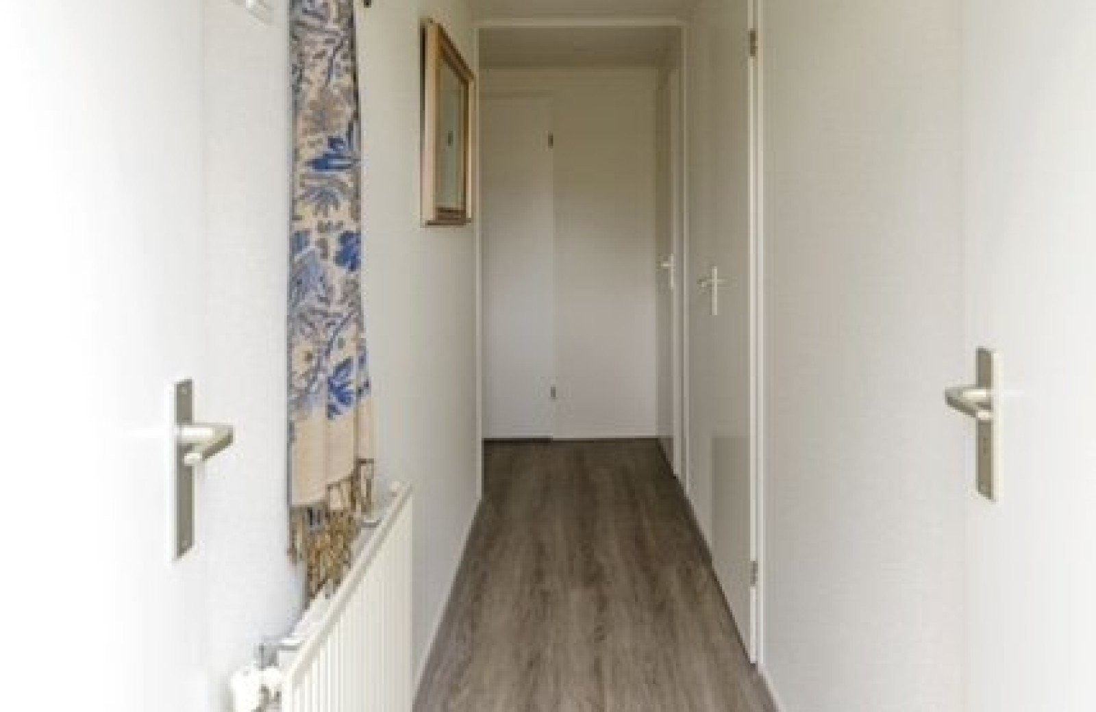 Image1