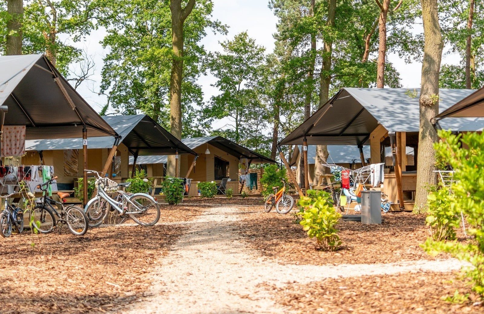 Luxe safaritent met sanitair 6 personen6 min