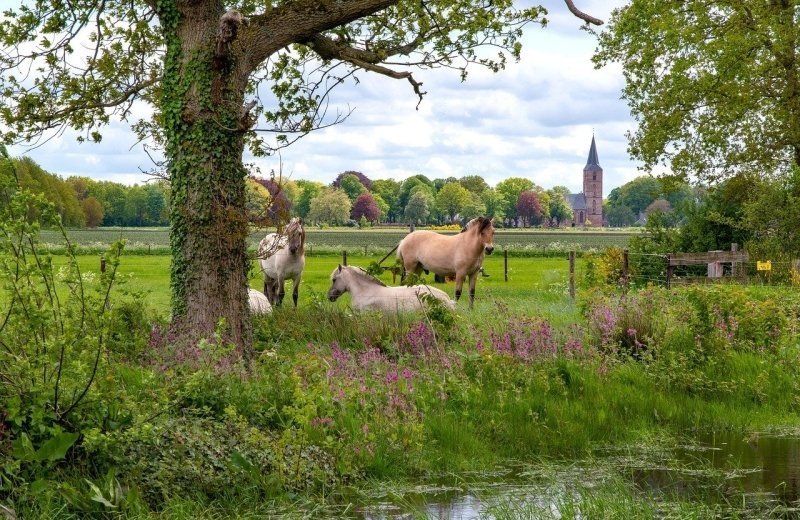 Fietsroute Zelhem en Zieuwent